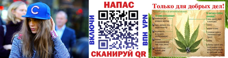 Что такое Мещовск A PVP  Мефедрон  Псилоцибиновые грибы  Конопля 