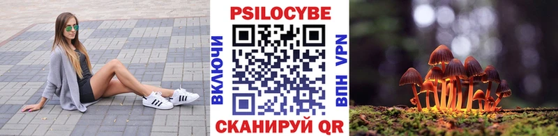 hydra зеркало Мещовск Галлюциногенные грибы ЛСД